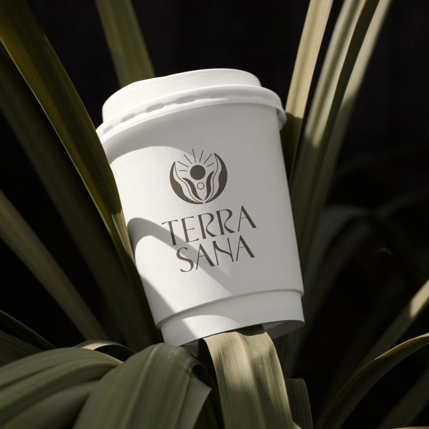 Разработка логотипа и дизайна для бренда TERRA SANA